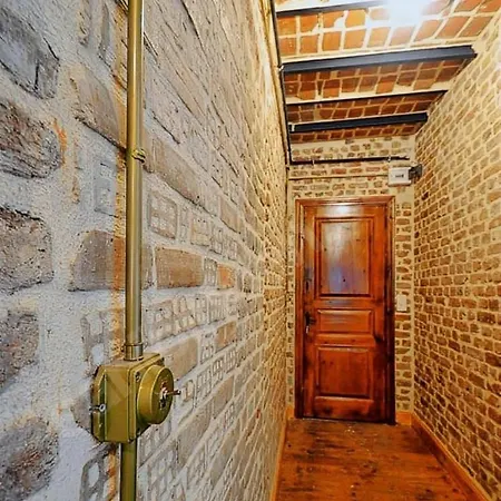 Appartement Furnished Renovated Historical Galata Tower In Cultural Center Istambul